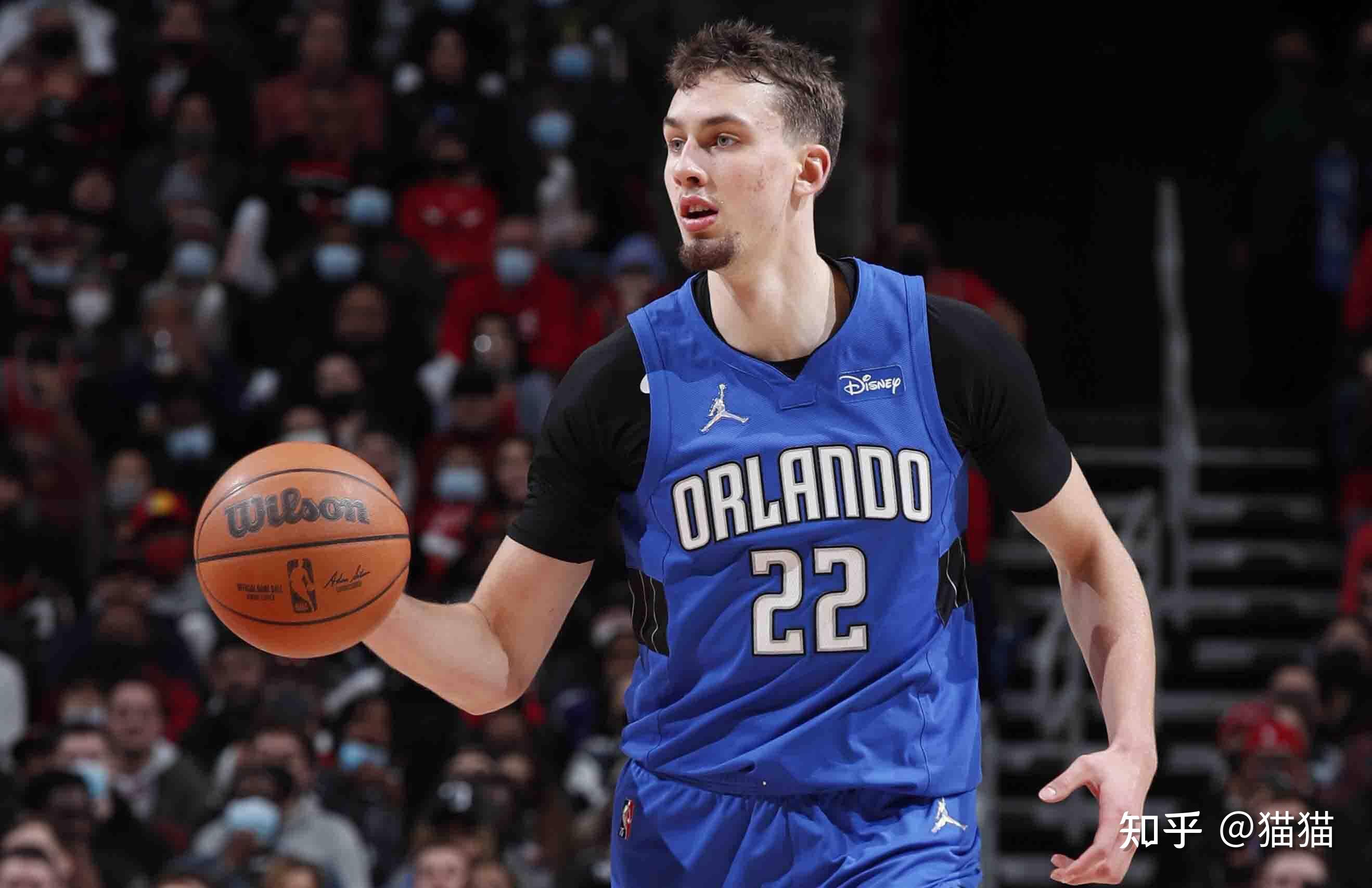 以其顽强的 以其顽强的